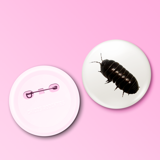 Boton Insecto