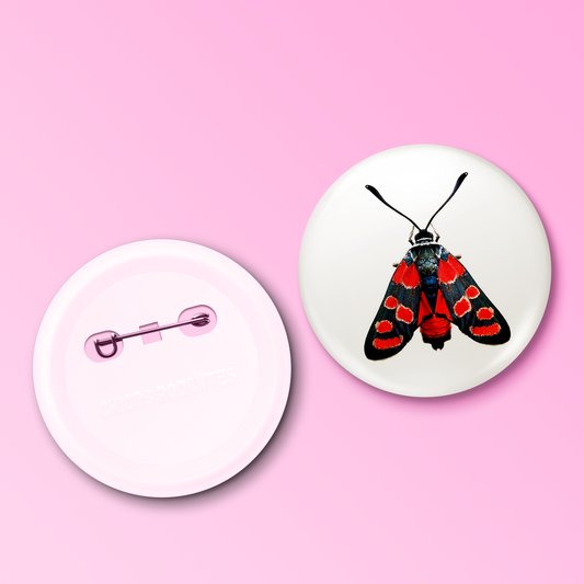 Boton Insecto